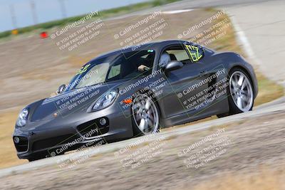 media/May-05-2023-PCA Central Coast (Fri) [[d16b5b411f]]/Blue Group/Session 3 (Outside Grapevine)/